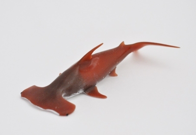 Бронзовая акула-молот (меняет цвет в зависимости от температуры)
