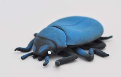Жук-ольхоед, scarabeo blu