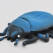 Жук-ольхоед, scarabeo blu 