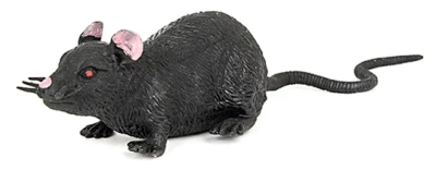 Мышь 