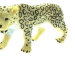 Леопард белый 