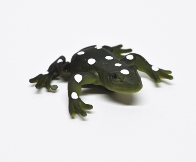 Камышовая жаба (меняет цвет в теплой воде)   