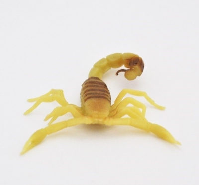 Желтый скорпион, (светится в темноте)
