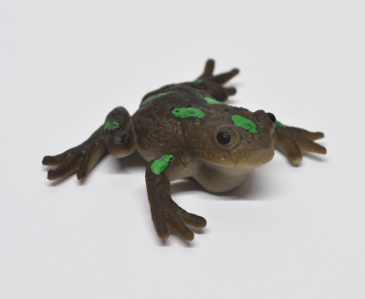 Лягушка-голиаф (меняет цвет в теплой воде)     