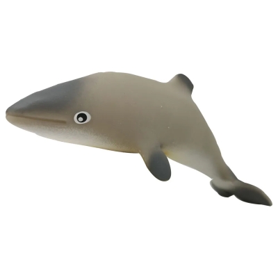 Дельфин мауи