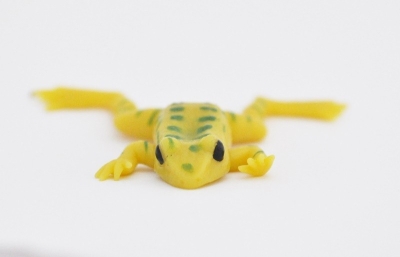 Болотная лягушка (Липкая) (меняет цвет в зависимости от температуры)