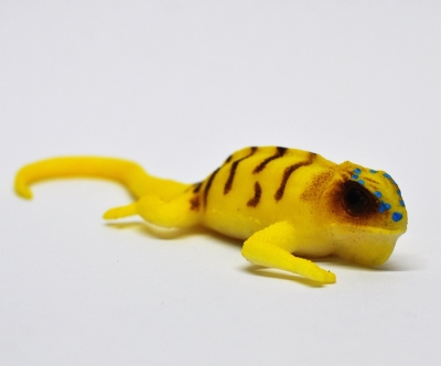 Леопардовый геккон (меняет цвет в воде)