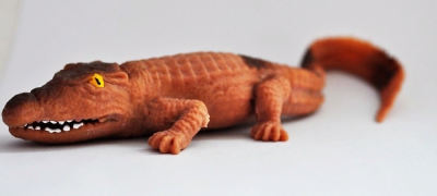 Китайский крокодил (меняет цвет в тепле и на холоде)