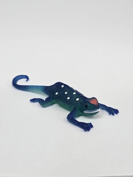 Калот обыкновенный (светится в темноте)    