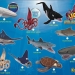 Полная коллекция, Морские хищники-Legend of Animals (10 шт) 