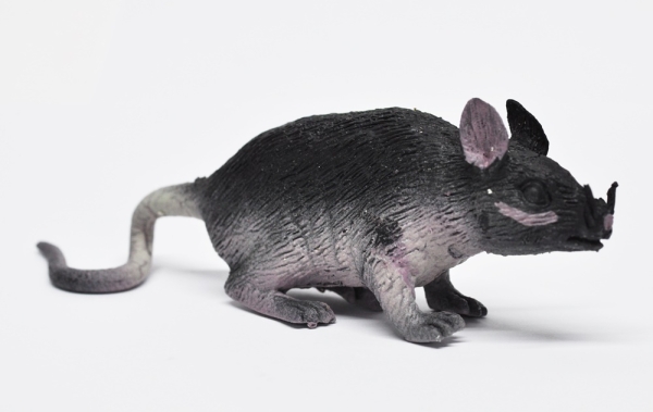 Черная крыса (светится в темноте) — купить игрушку Летучие мыши и Ко Макси  в по цене 990 руб.