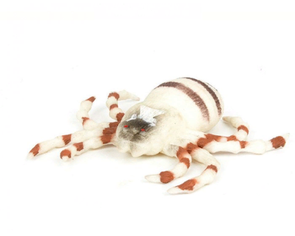 Паук    