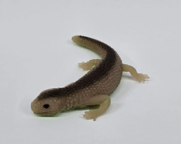 Сцинк морщинистый (меняет цвет в зависимости от температуры)    